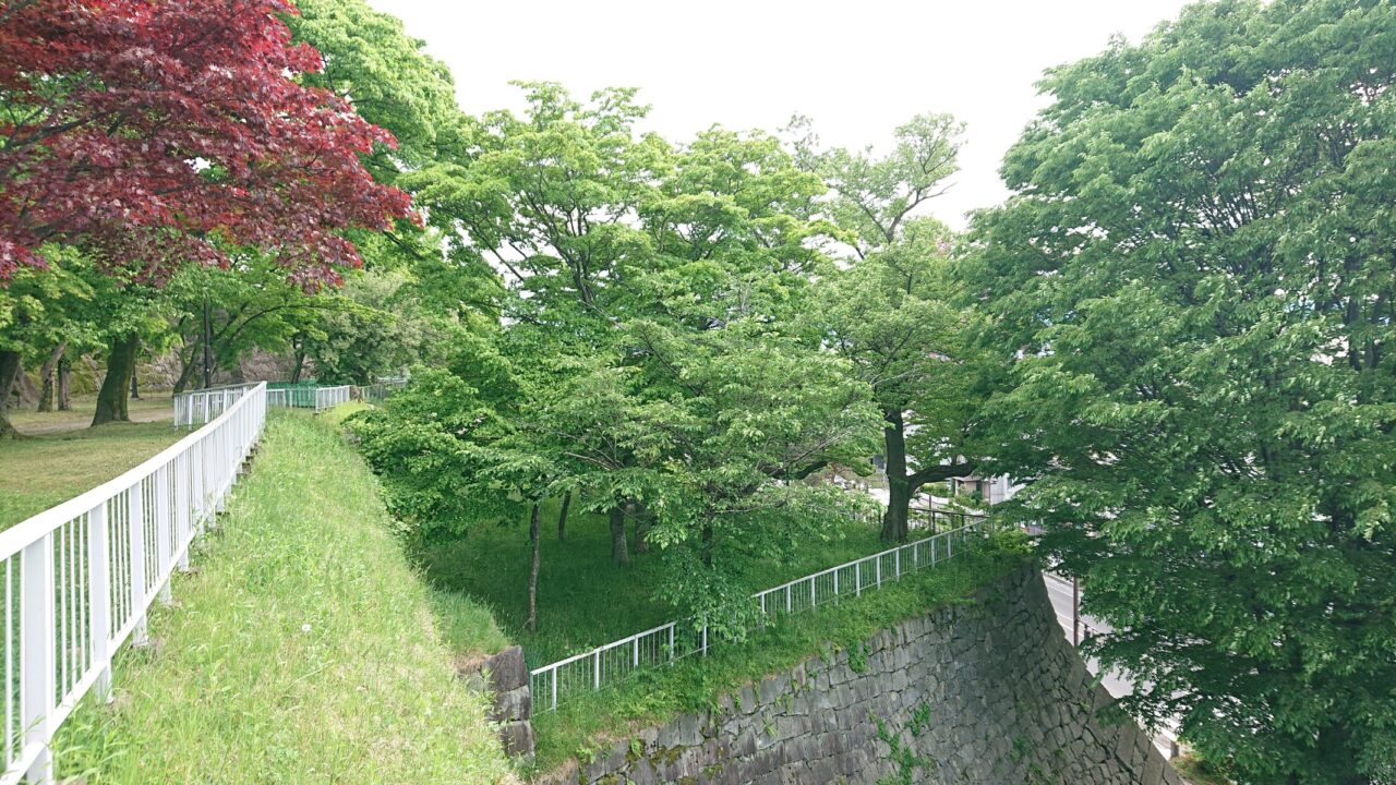 木々の緑は石垣にも映える