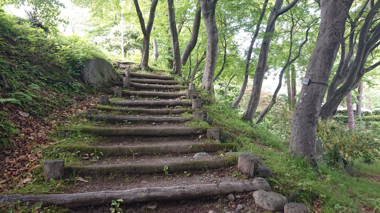 木々に囲まれていても初夏は少し明るさを感じられる階段