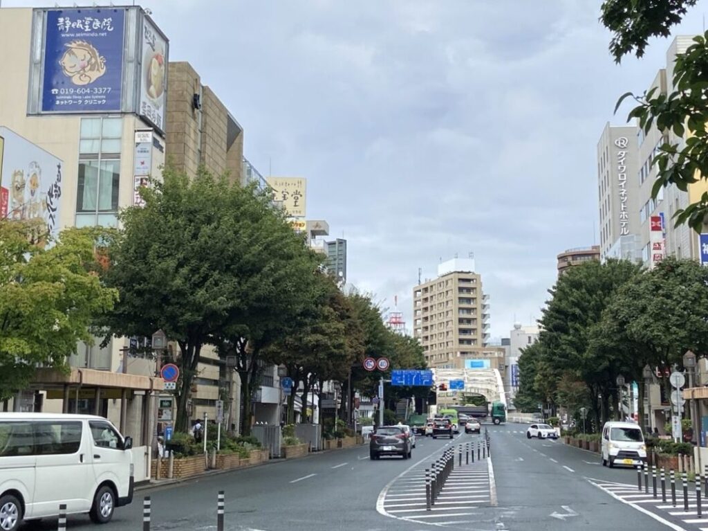 歩行者天国となる盛岡駅前商店街