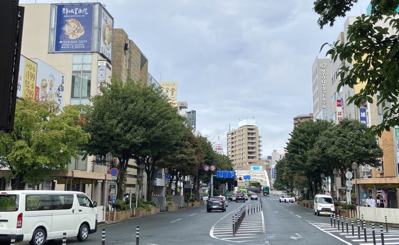 歩行者天国となる盛岡駅前商店街