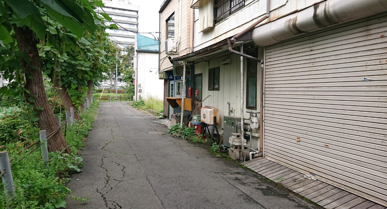 亀ヶ池沿い