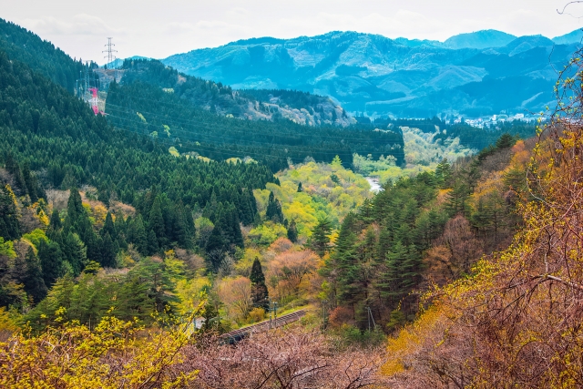 仙岩峠紅葉のイメージ