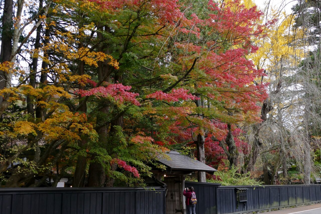 角館の紅葉イメージ