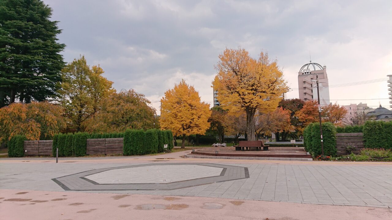 歴史文化館前の木々の様子(20251028)