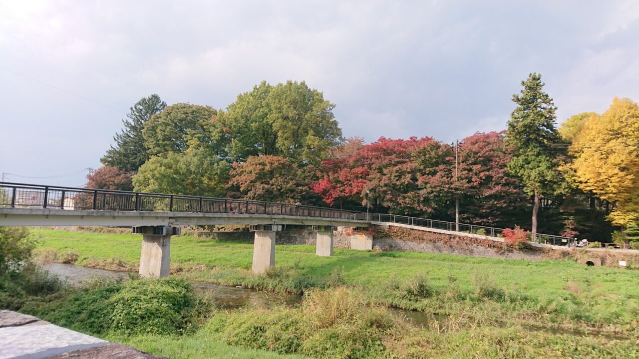 毘沙門橋から見える紅葉状況(20251028)