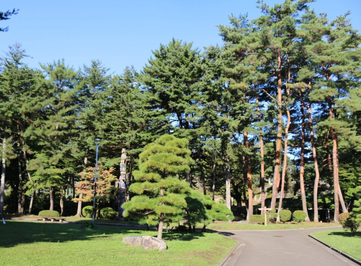 緑が美しい岩手公園内芝生広場