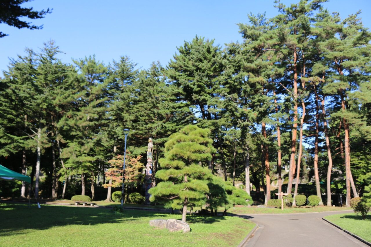 緑が美しい岩手公園内芝生広場