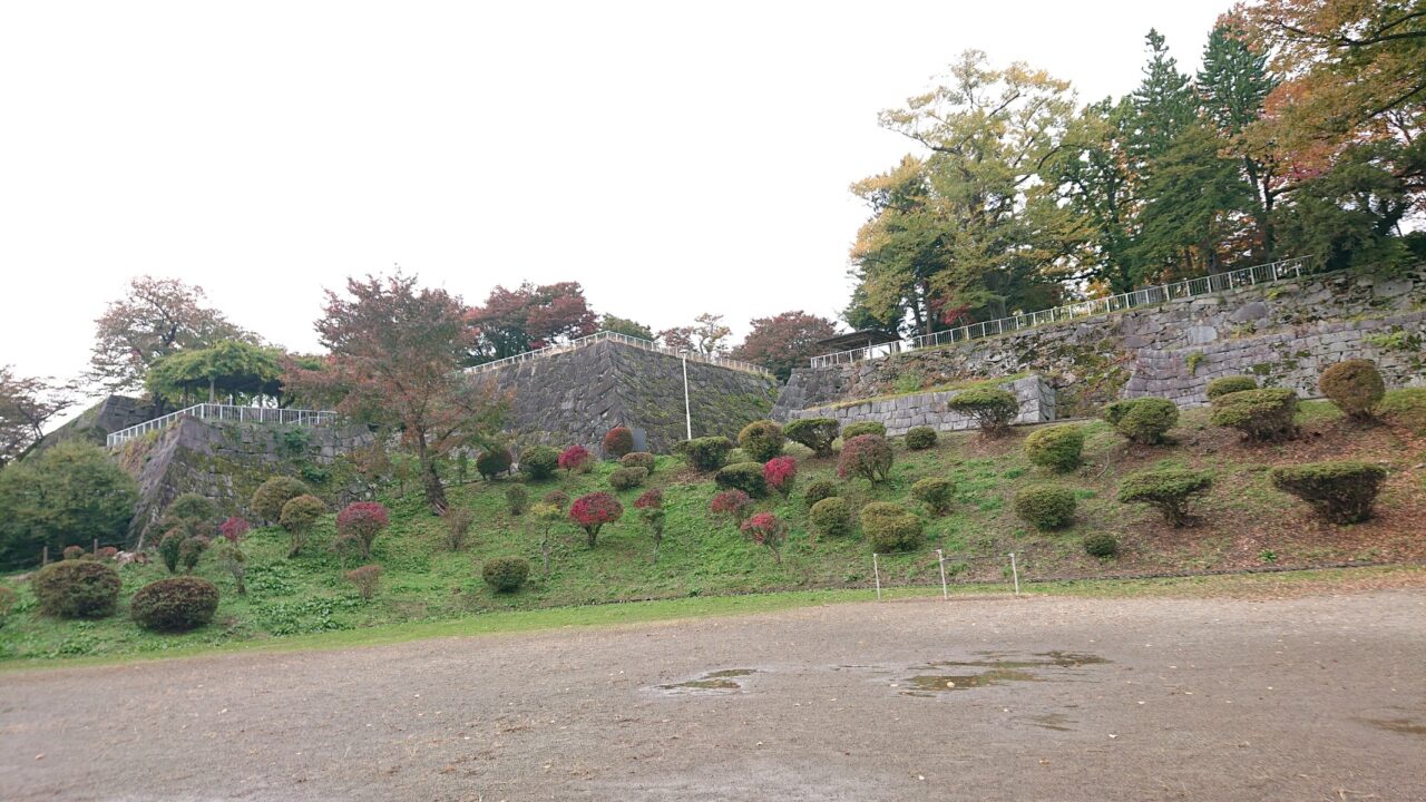 多目的広場を囲むリュウキュウツツジやニシキギ(20251028)