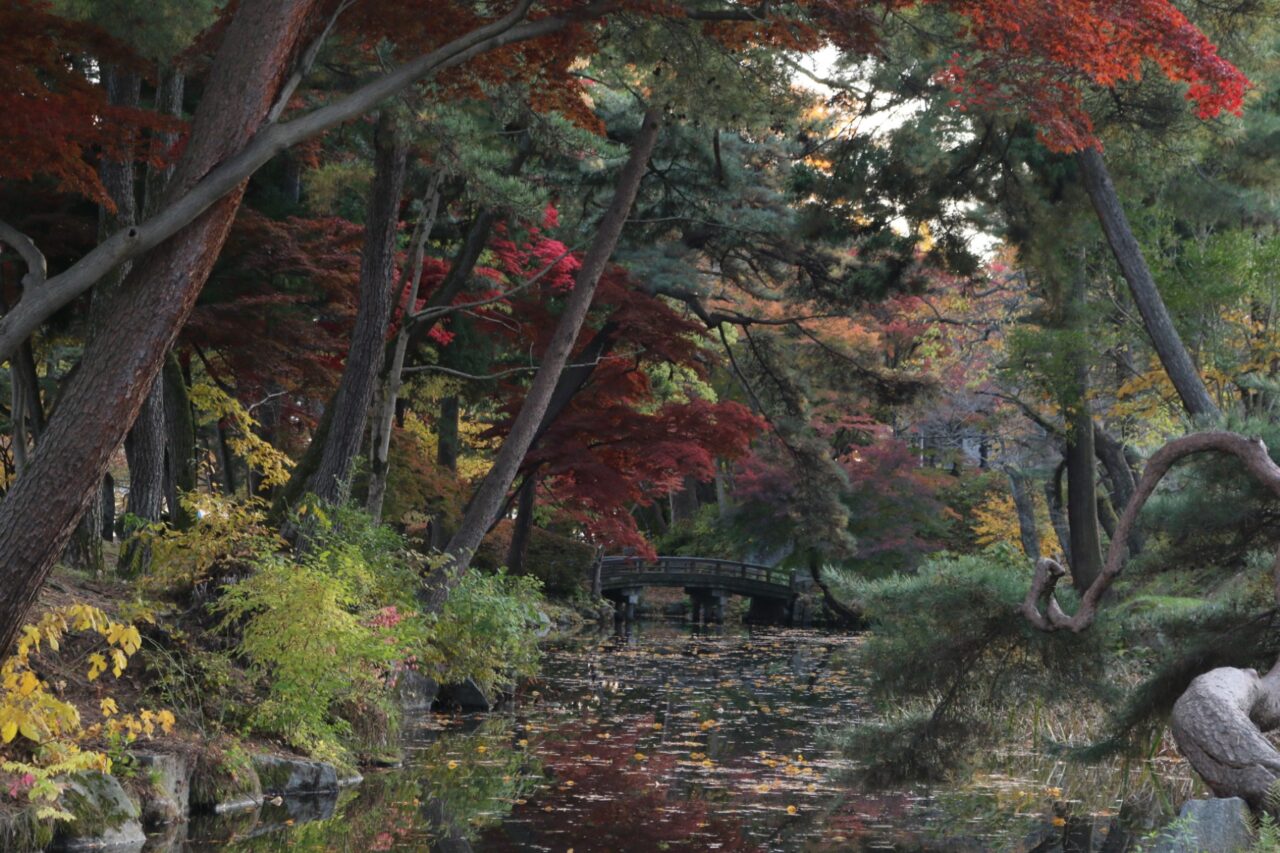 盛岡城跡公園の美しい景観202511
