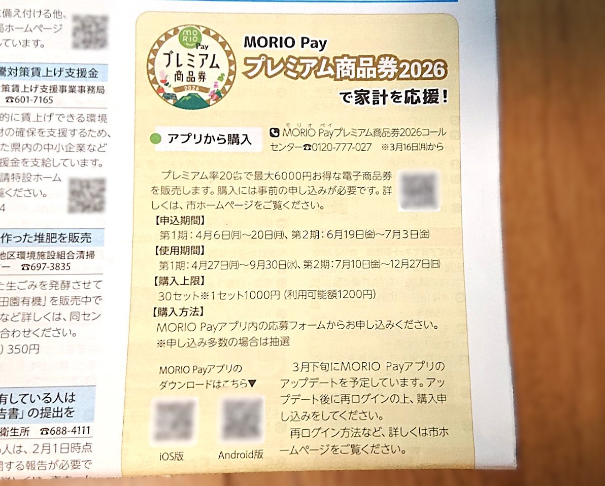 モリオペイ商品券2026のチラシnew