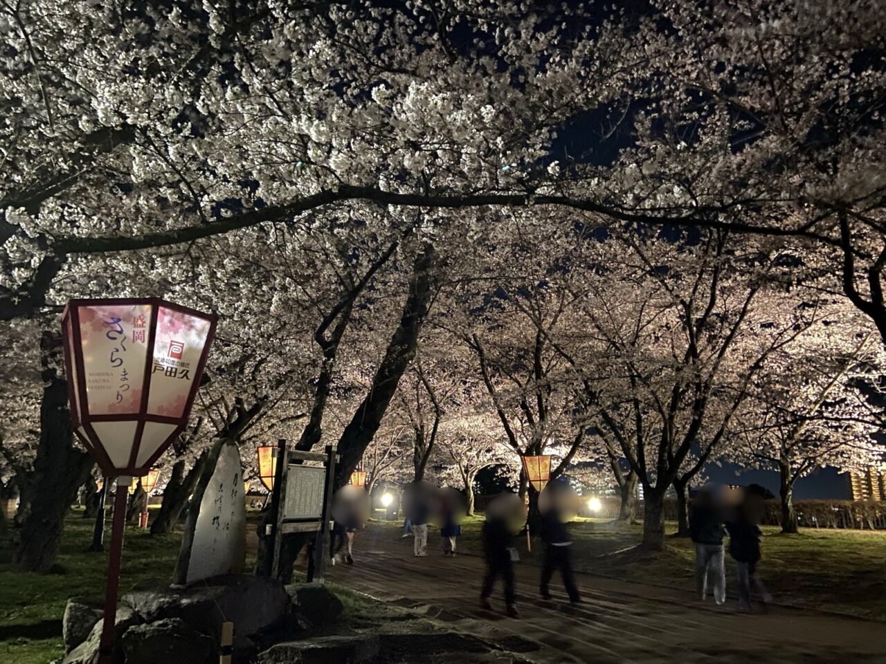 4日10日より開催されている盛岡城跡公園さくら祭りで夜桜を楽しむ人々2604