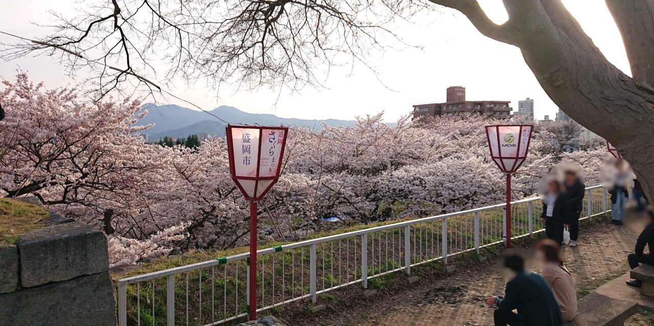 2025年のさくらまつりの様子