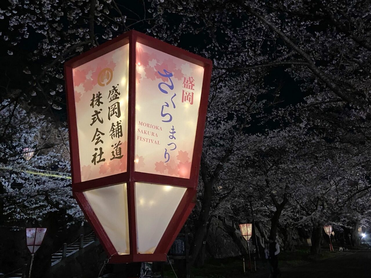 2026年盛岡城跡公園さくら祭りのぼんぼり