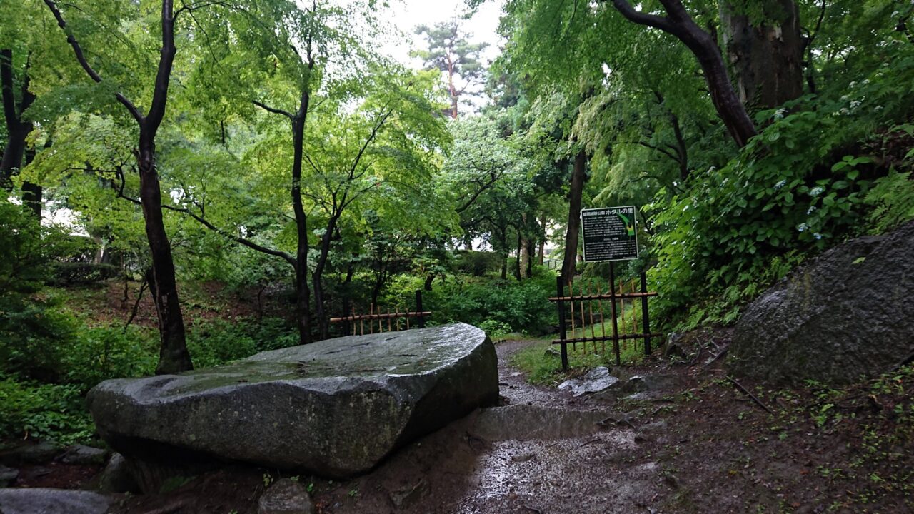 雨に濡れた大きな岩 盛岡城跡公園　ほたるの里26