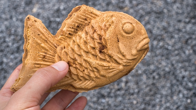 たい焼き 新店舗 イメージ2607