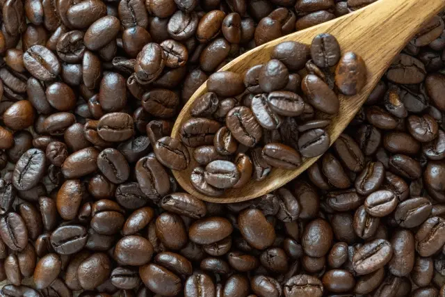 焙煎後のコーヒー豆のイメージ2608