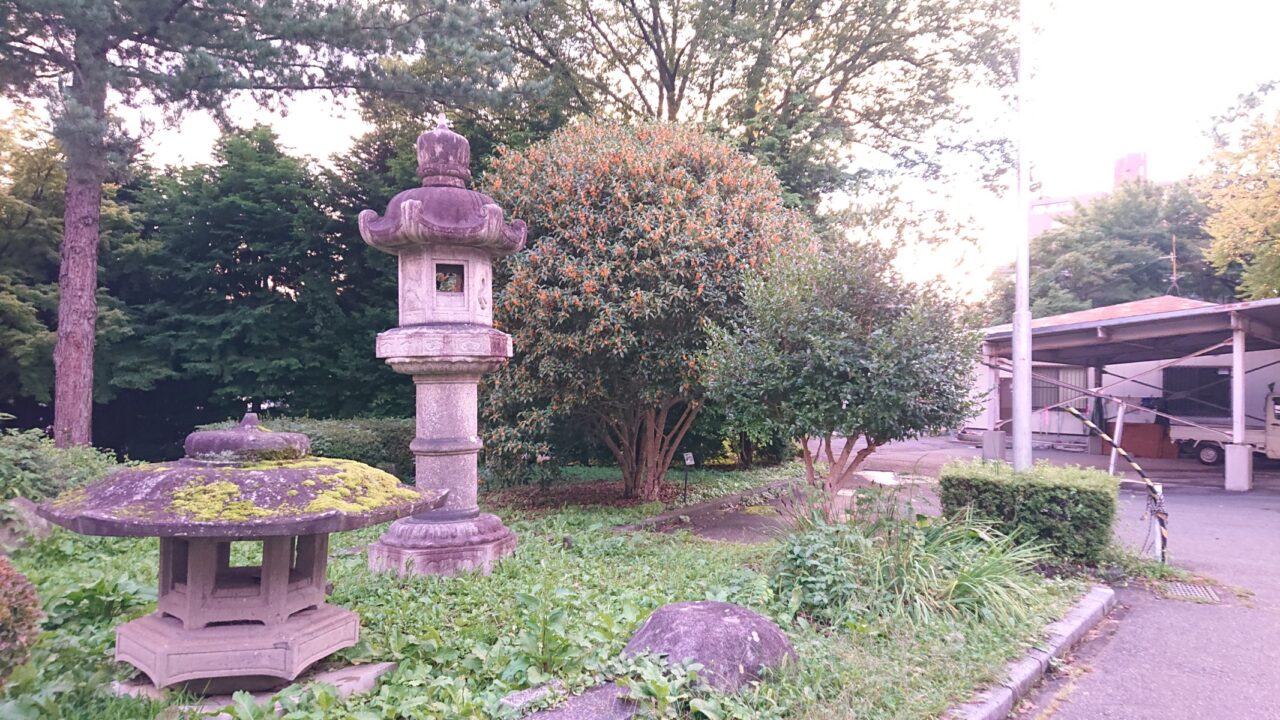 2026年9月19日時点の盛岡城跡公園で開花したキンモクセイ