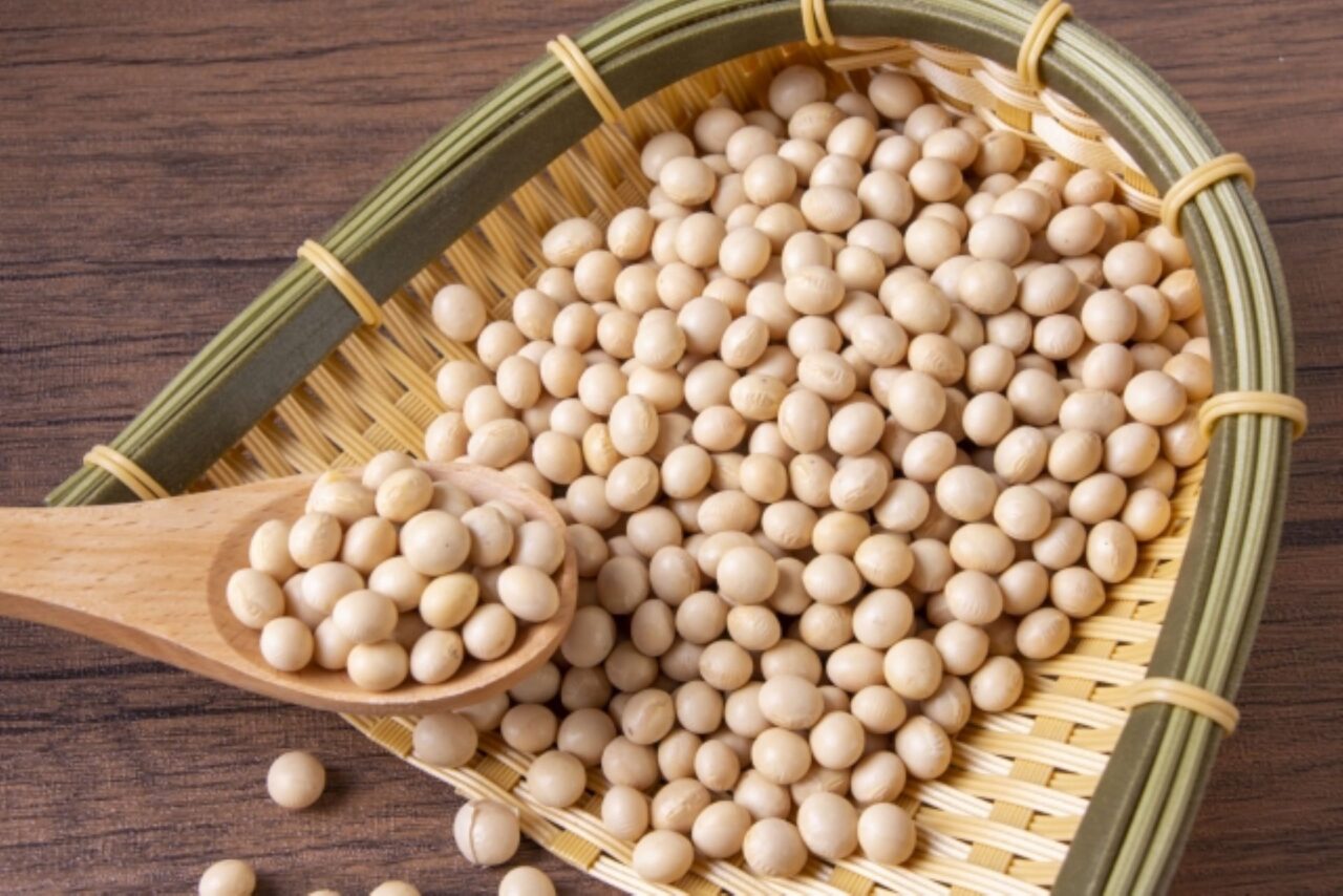豆腐の原料大豆のイメージ