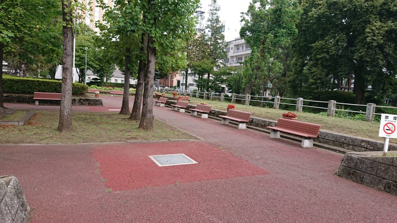 木々に囲まれた内丸緑地2609